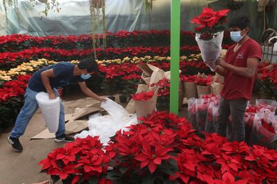 Cuándo empieza la Feria de la Nochebuena en Atlixco