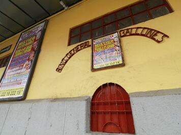 Rudos vs técnicos tienen cita el 9 de agosto. Reabrirá la Arena Puebla