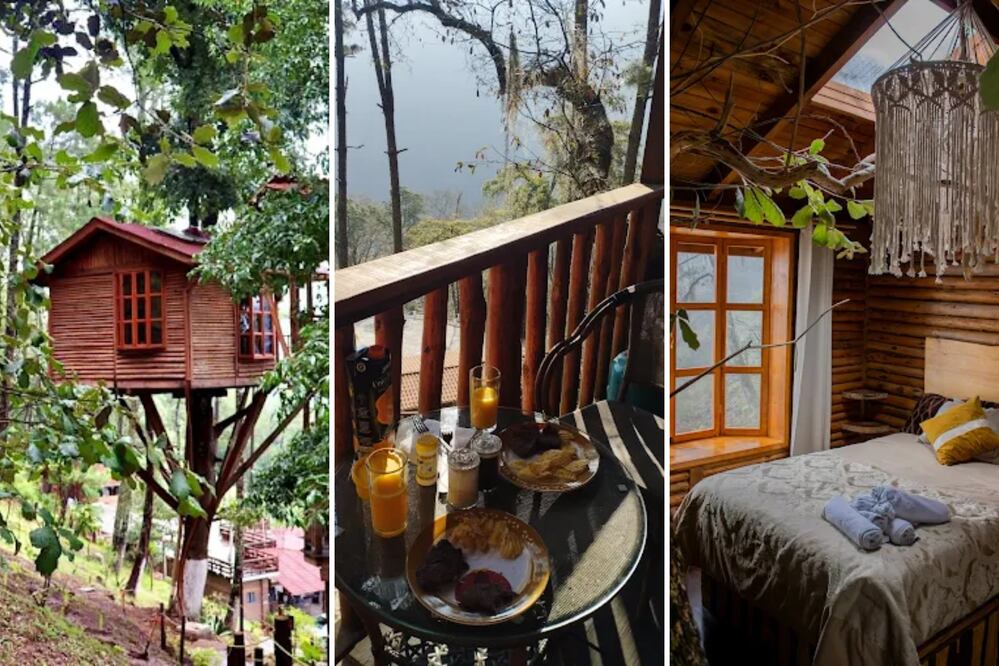 Hay cabañas lujosas con todo incluido en un Pueblo Mágico de Puebla| Foto: Kali-Tree Cabañas