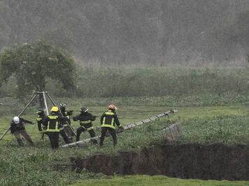 Los mejores momentos del rescate de Spay y Spike