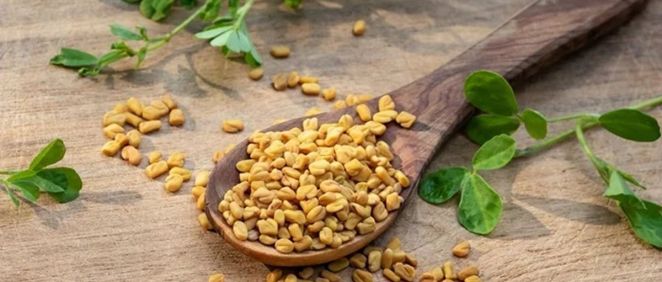 Además, el fenogreco tiene propiedades depurativas que ayudan a eliminar el colesterol y las grasas acumuladas en el cuerpo a lo largo de los años.

Foto: Producción El Universal Puebla
