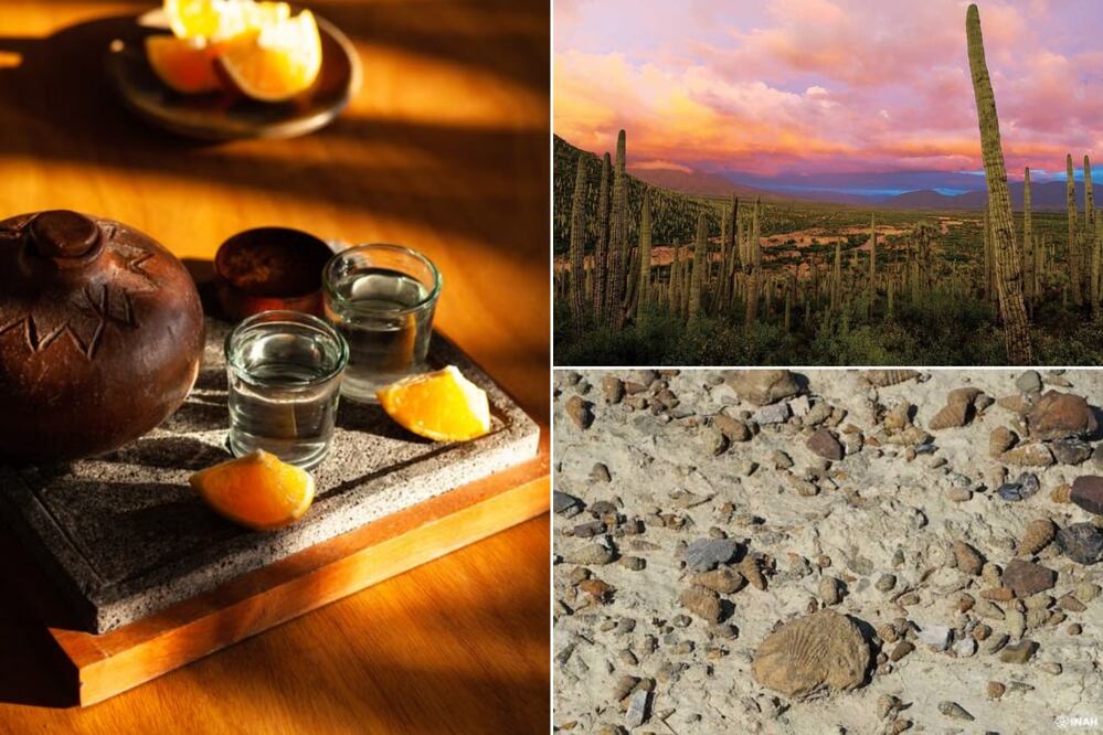 En Puebla habrá una Feria del Mezcal 2026 | Foto: Pexels / Escapadas México / INAH