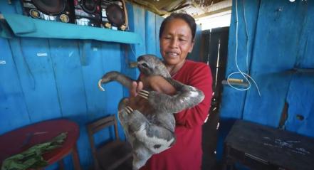 Luisito Comunica graba a familia con animales exóticos y luego la denuncia