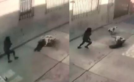 Video. Perros pitbull atacan y arrastran por calles del Edomex a niña de 3 años