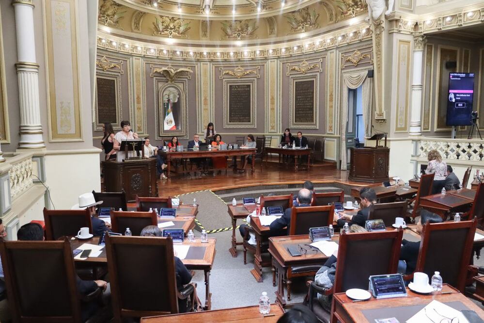 TEPJF revocó fallo del TEEP sobre las diputaciones plurinominales | EsImagen