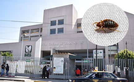 Denuncian presencia de chinches en camas del IMSS La Margarita