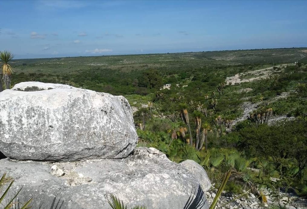 Esta extraña piedra es todo un enigma para los pobladores | Portada Foto  Facebook Mi Huejonapan / Canvas