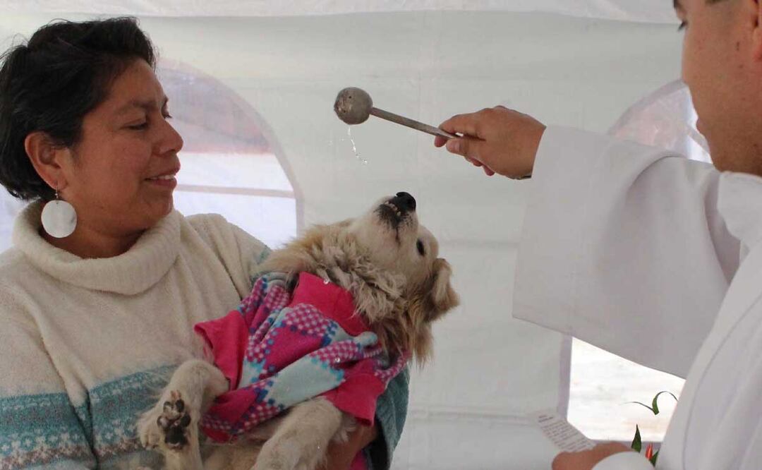 Gatitos, perritos y otros animales acuden a recibir la bendición a la iglesia de San Antonio en Puebla | Foto: Agencia Es Imagen para El Universal Puebla