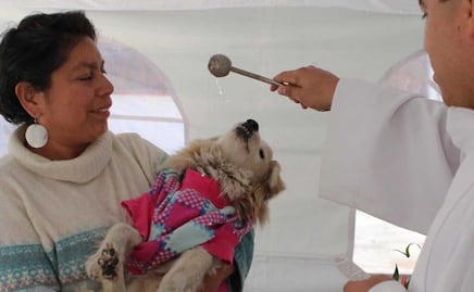 Bendición de mascotas en Puebla. Por esta razón San Antonio Abad es el Santo de los gatos y perros