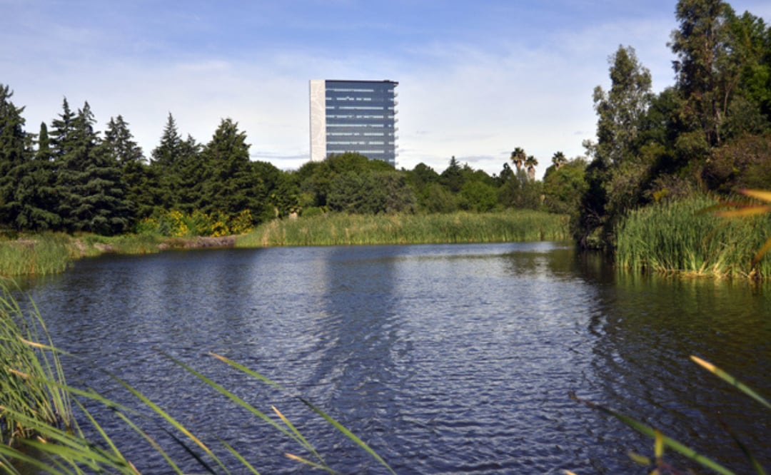 La BUAP se mantiene como la segunda universidad más sustentable del país, de acuerdo con los resultados del UI Green Metric World University Ranking 2024 I Foto: BUAP