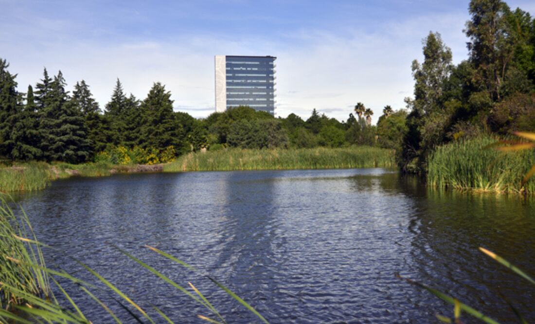La BUAP se mantiene como la segunda universidad más sustentable del país, de acuerdo con los resultados del UI Green Metric World University Ranking 2024 I Foto: BUAP