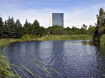 Por sexto año consecutivo la BUAP lidera en sustentabilidad