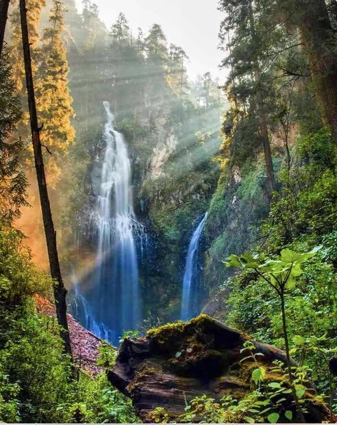 Foto: Instagram Tierra de Volcanes Puebla / @tierra.de.volcanes.puebla