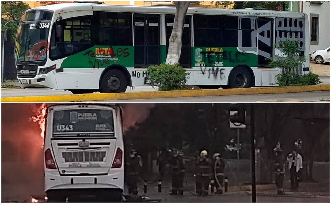 Las unidades afectadas permanecen detenidas en el lugar de los hechos | Foto: Especial