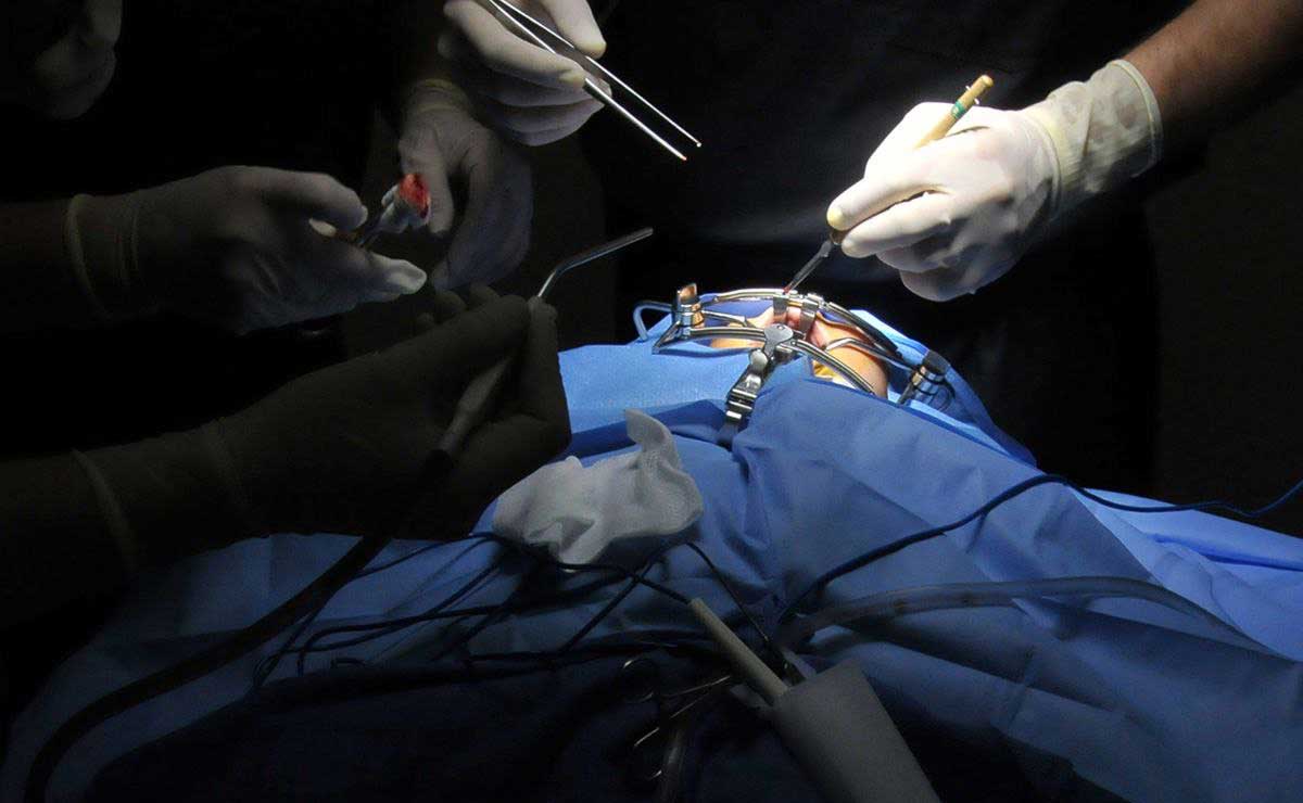 Más de 3 mil poblanos esperan un trasplante para sobrevivir