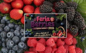 Feria de las Berries 2026 en Puebla: fechas, qué hacer y cómo llegar