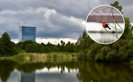 Jardín Botánico de la BUAP, 38 años de echar raíces y florecer