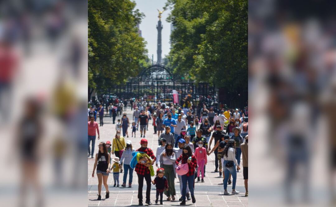 Este picnic de murciélagos se llevará a cabo en el Bosque de Chapultepec en la CMDX | Foto: EsImagen