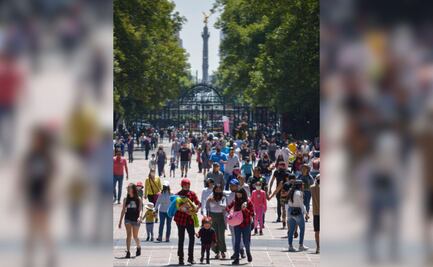Picnic nocturno de murciélagos, vive esta experiencia inolvidable muy cerca de Puebla