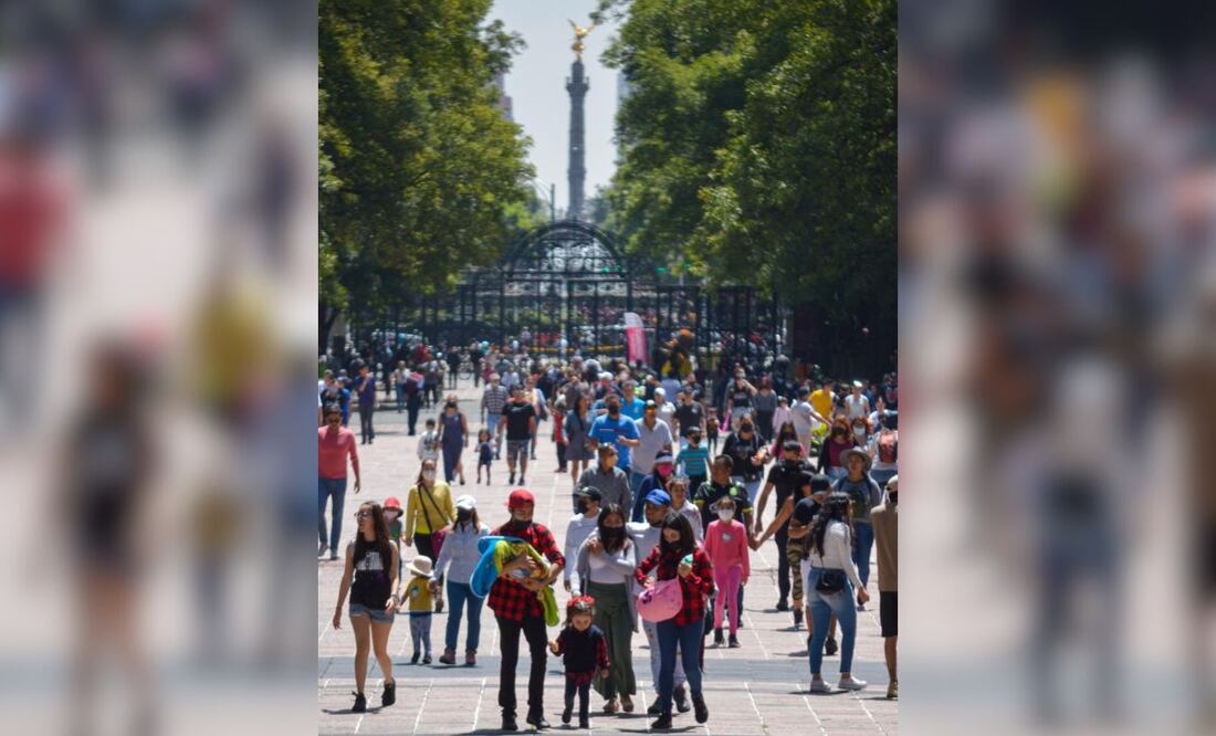 Este picnic de murciélagos se llevará a cabo en el Bosque de Chapultepec en la CMDX | Foto: EsImagen