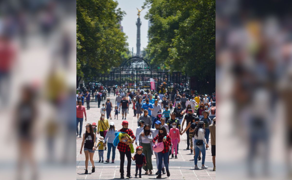Picnic nocturno de murciélagos, vive esta experiencia inolvidable muy cerca de Puebla