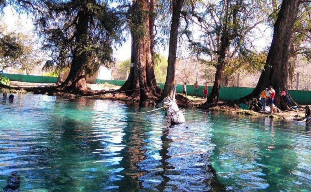 Los Ahuehuetes es un paradisíaco lugar en Izúcar de Matamoros | Instagram jess.nou.maybe