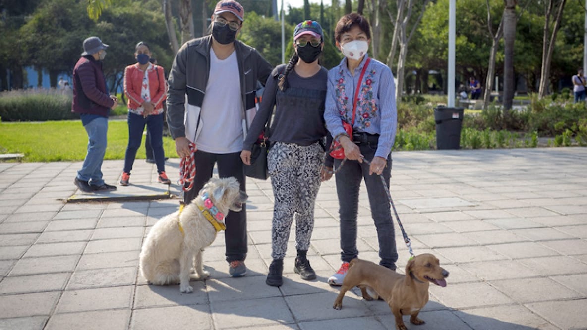 La BUAP realiza un programa de adiestramiento canina. Foto: BUAP