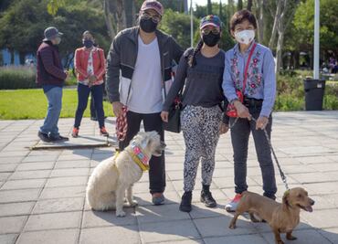 Escuela de Perritos. Cómo entrar al programa de adiestramiento canino en la BUAP