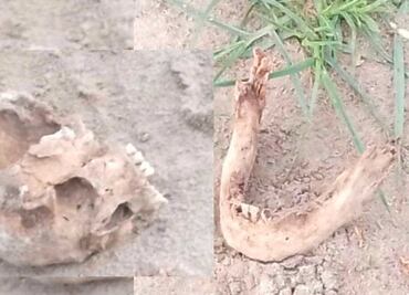 Susto en Reforma Sur por cráneo humano tirado