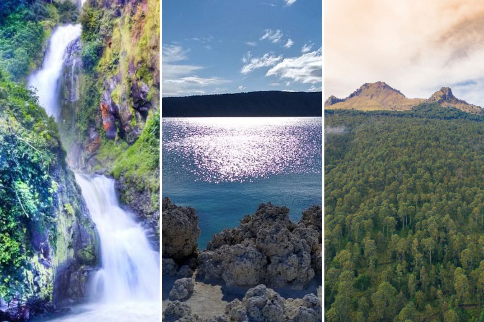 Puebla tiene espectaculares maravillas naturales | Foto: cascadastuliman.com / Gobierno de México / Tripadvisor