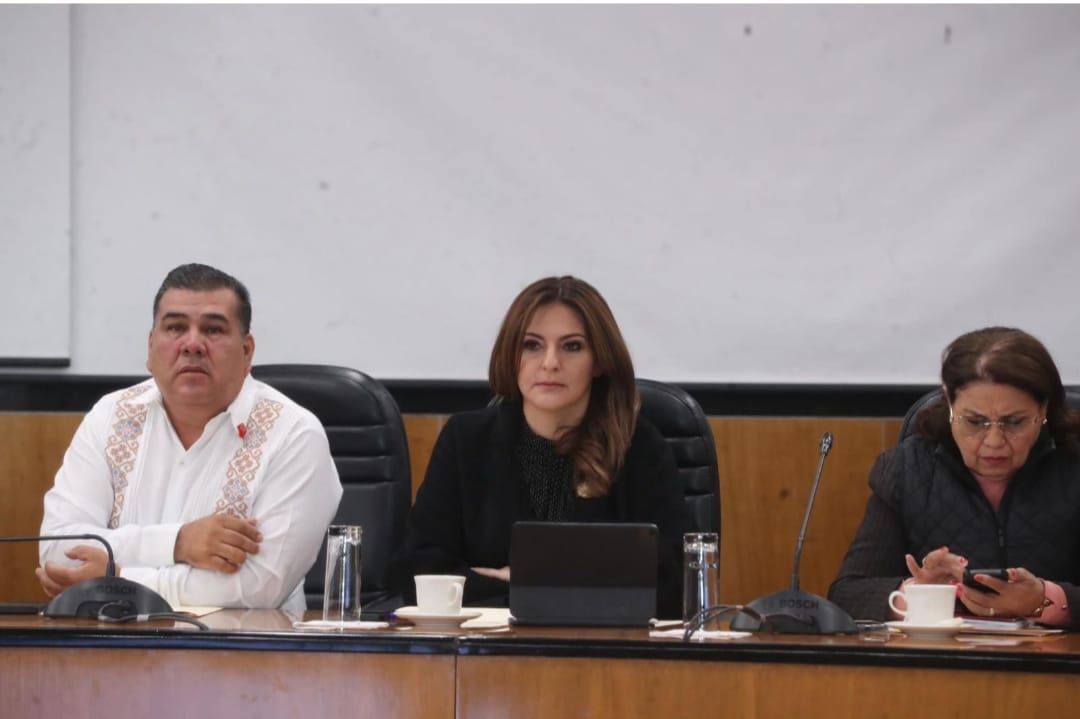 La 4T cumple con programas sociales que son un derecho constitucional: Maiella Gómez