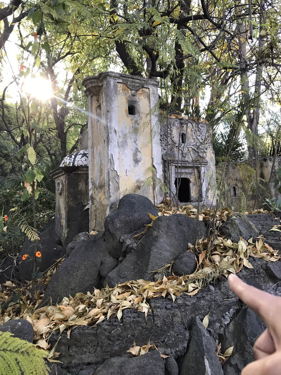 Fotos grupo de Facebook Puebla Antigua