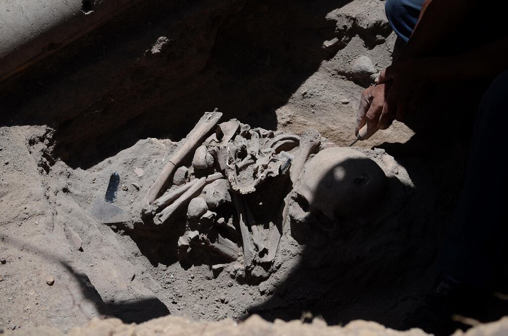 Varios científicos destacados en el planeta han explorado Puebla| EsImagen