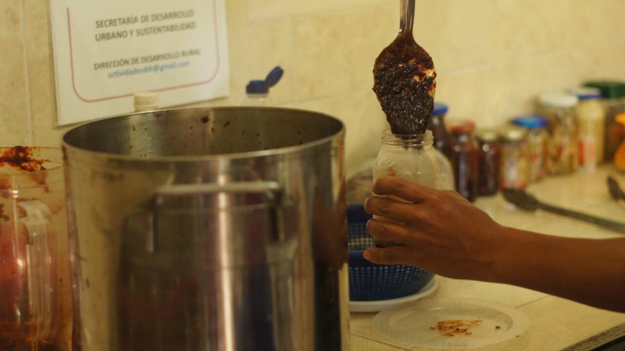 Aprende a hacer mermeladas y conservas con estos talleres del Ayuntamiento de Puebla