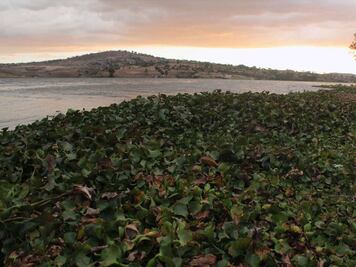 Puebla se prepara ante posible desbordamiento de la presa Valsequillo
