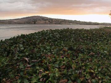 Puebla se prepara ante posible desbordamiento de la presa Valsequillo