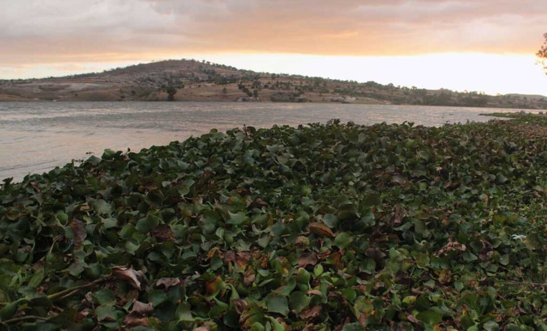 Foto: Agencia Es Imagen para El Universal Puebla