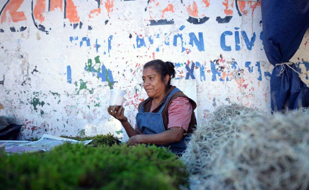 El PVEM pidió emitir un punto de acuerdo para impedir el abuso en el uso de musgo y heno | Foto: Agencia Es Imagen para El Universal Puebla