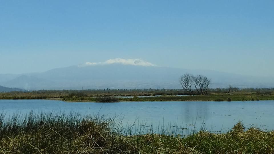 Foto: Facebook San Pedro Cholula Ocoyoacac