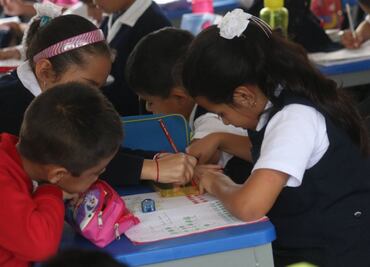 ¿Cómo descargar el certificado escolar?, te compartimos el proceso