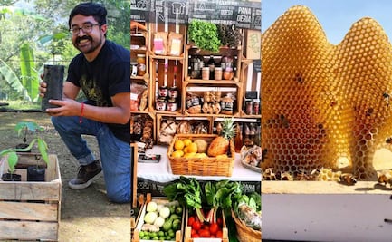 Día de la Tierra: negocios eco-friendly disponibles en redes sociales