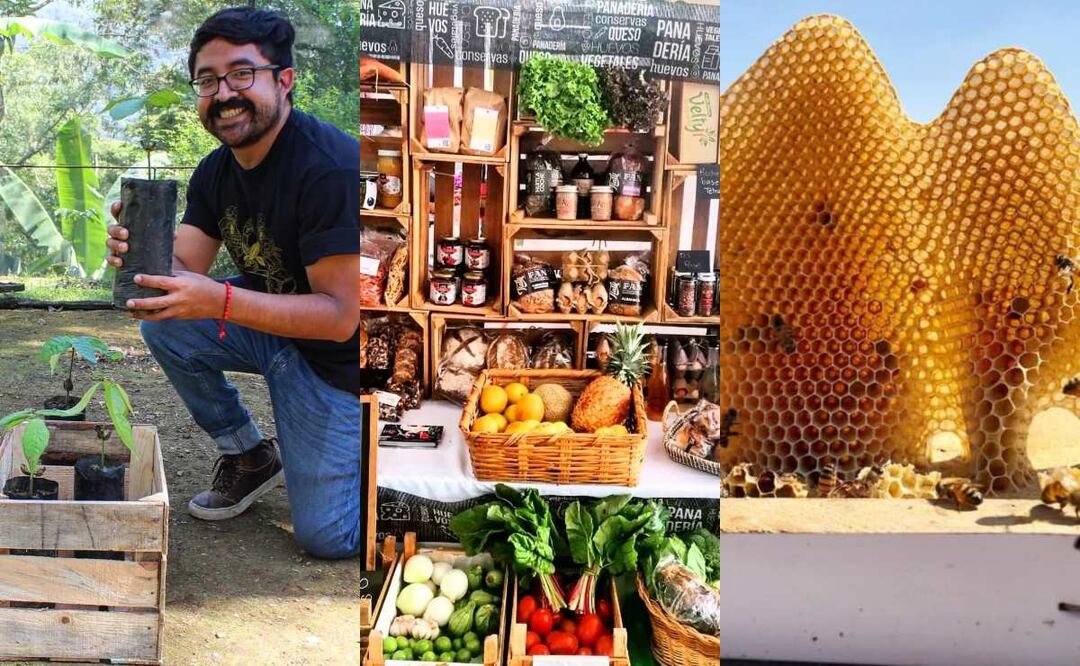 Día de la Tierra: negocios eco-friendly disponibles en redes sociales