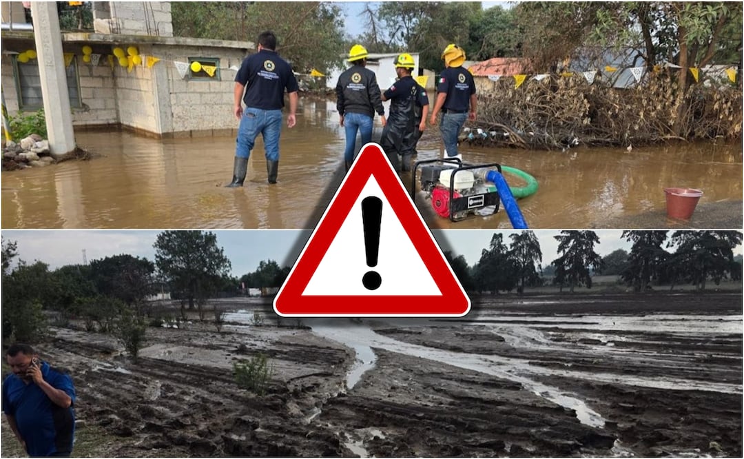 Se identificaron 12 viviendas dañadas | Foto: Gobierno del Estado / Canva