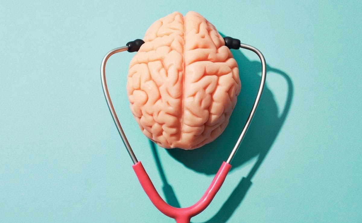 Una dieta rica en alimentos beneficiosos para el cerebro y la memoria puede mejorar la función cerebral y ayudar a prevenir enfermedades neurodegenerativas. 

Foto: Producción El Universal Puebla