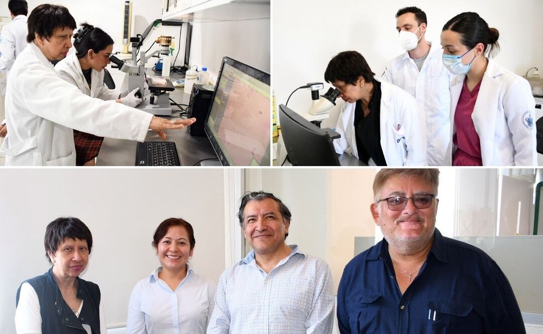 La investigación es realizada desde 2017 | Foto: Buap