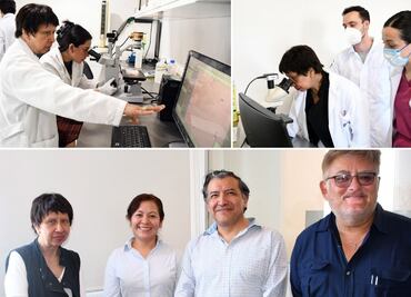 Investigadores BUAP predicen y describen la regeneración epitelial