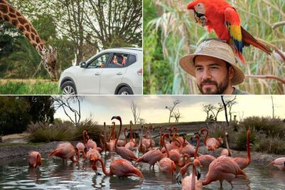 ¿Cuánto cuesta entrar a Africam Safari en el megapuente de mayo 2026?