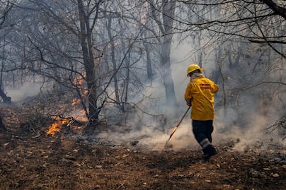 En lo que va del año se han registrado en Puebla 274 incendios forestales
