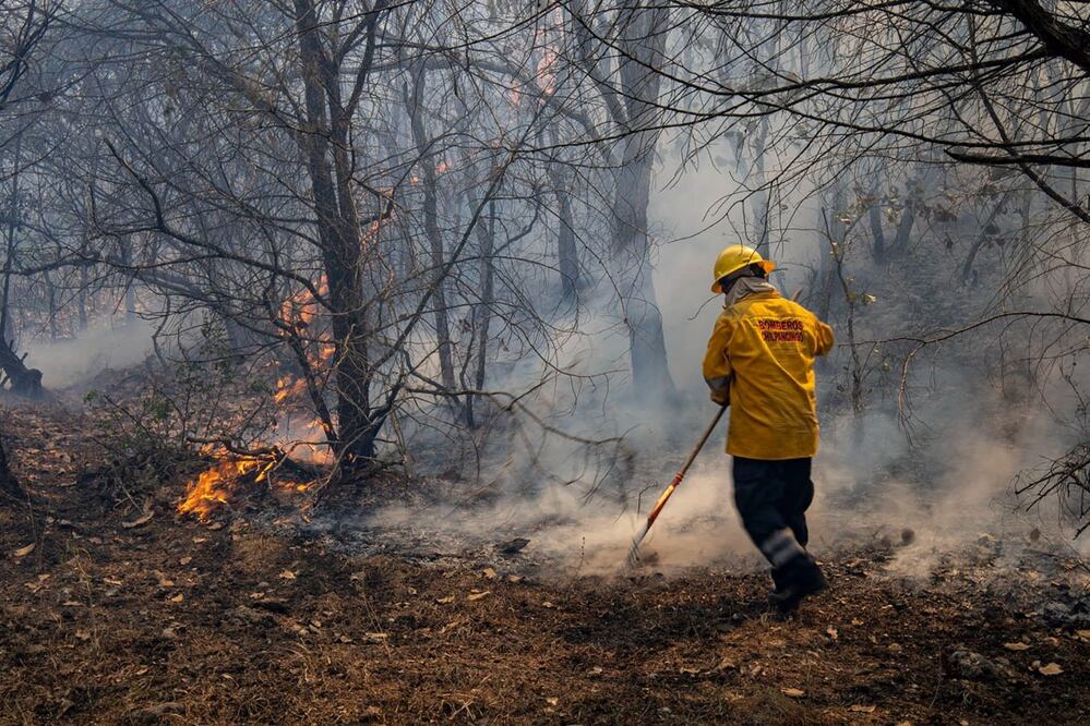 La Secretaría de Medio Ambiente informó que se tiene una afectación de 9 mil 435 hectáreas por los incendios | Foto: EsImagen