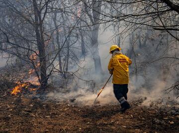 En lo que va del año se han registrado en Puebla 274 incendios forestales